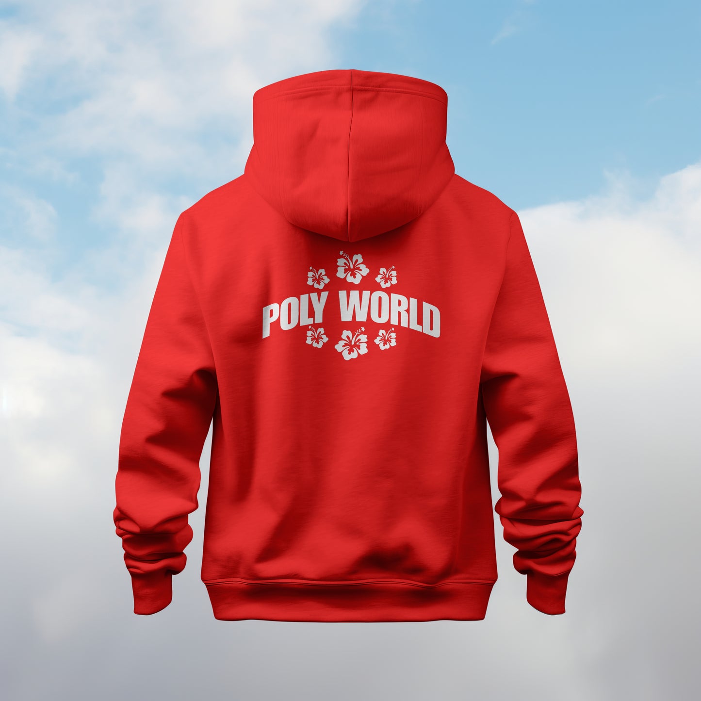 Poly World hoodie